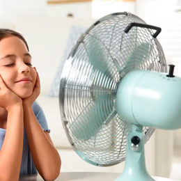 Ventiladores